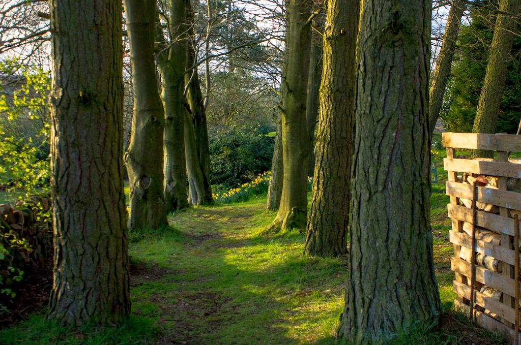 Robin Hood Farm B&B Baslow Zewnętrze zdjęcie