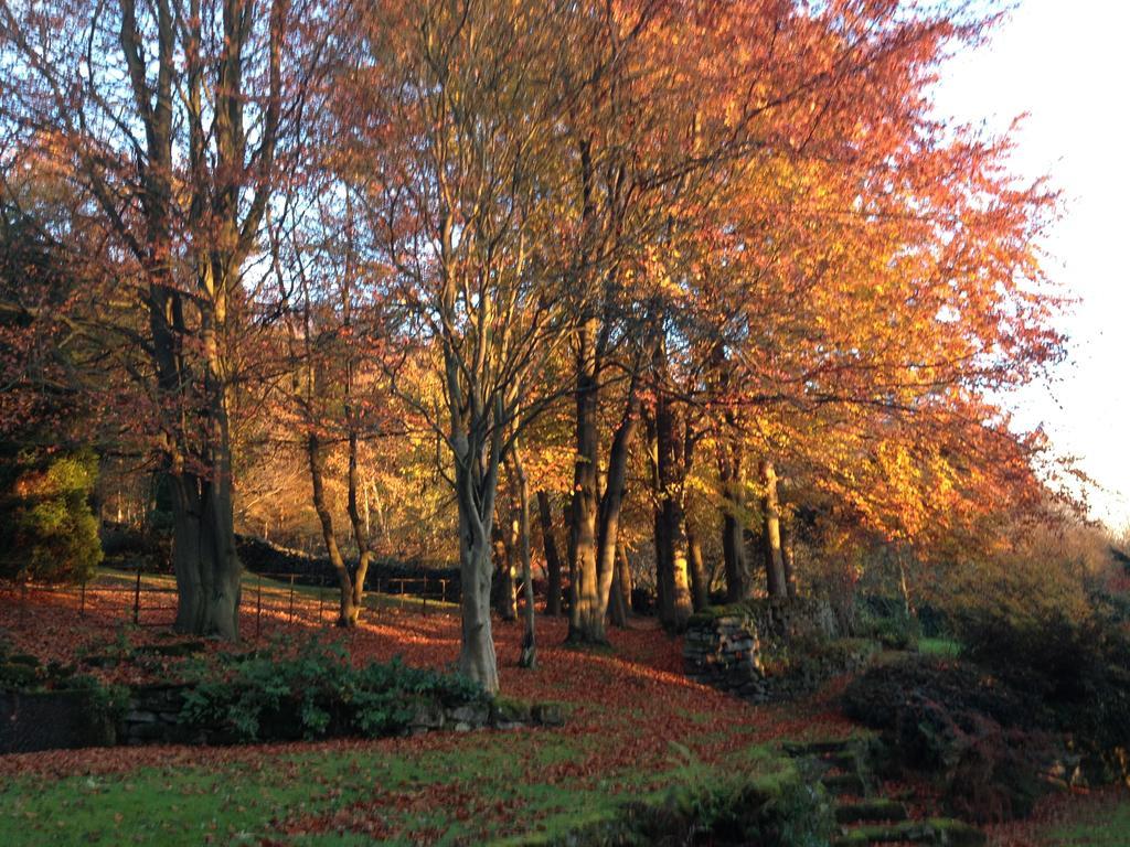 Robin Hood Farm B&B Baslow Zewnętrze zdjęcie