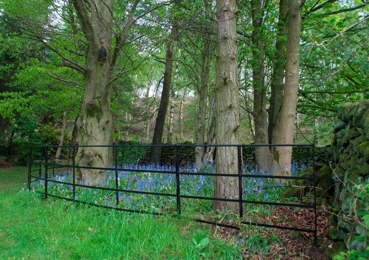 Robin Hood Farm B&B Baslow Zewnętrze zdjęcie